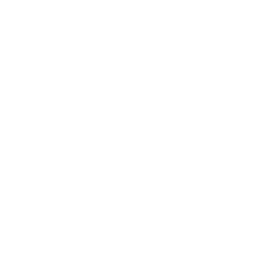 Logo of Black Plum, named by River + Wolf