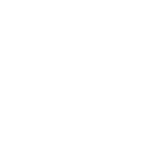 Logo of Bushnell, non-profit naming client