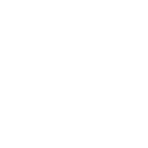 Logo for Craftsman, product naming client