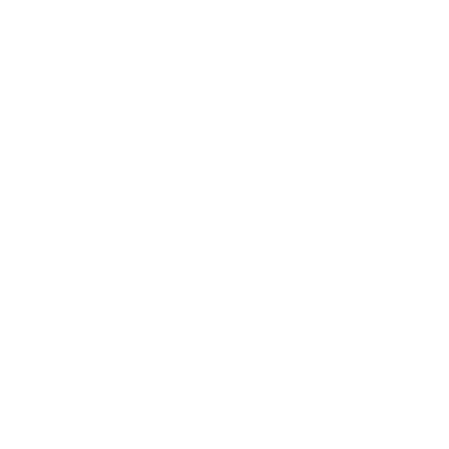 Logo of Foxx, naming client