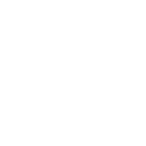 Logo for Ritz Carlton, hospitality naming client