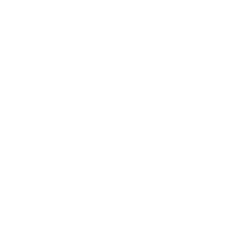 20 Squares logo
