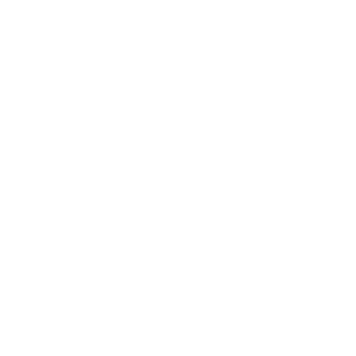 Ringmaster client logo