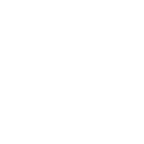Journeywise logo, from a name by River and Wolf