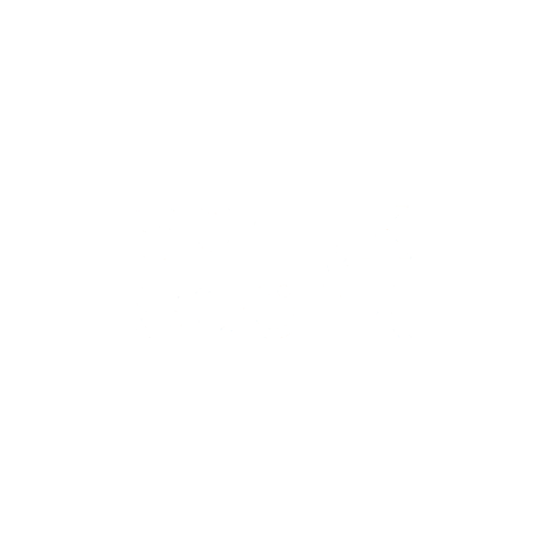 Spark & Spunk logo.